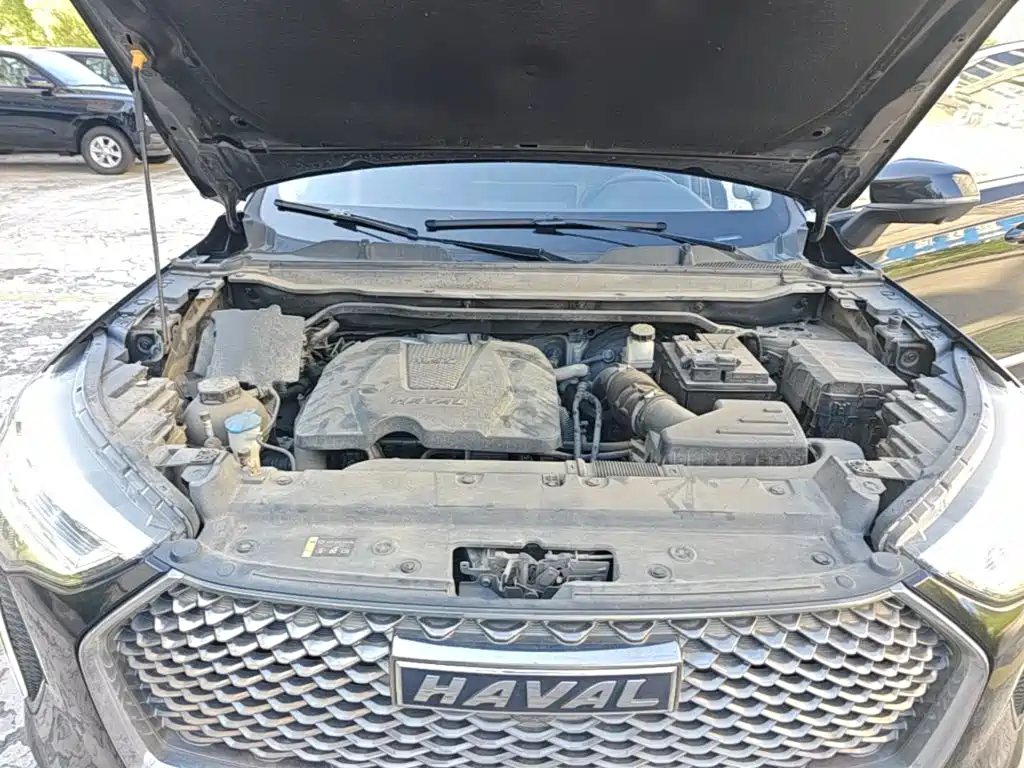 Haval First Love 2021 2021 1.5T Automatic Junior Edition