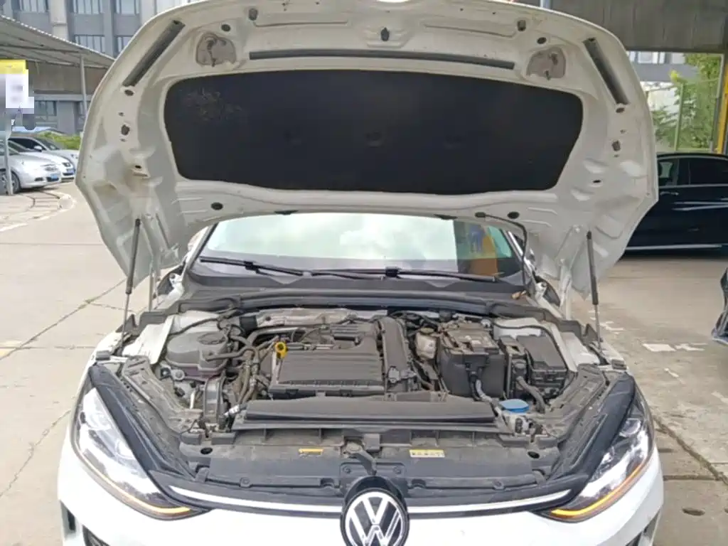 Volkswagen Lamando, миниатюра 20
