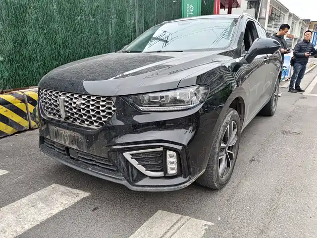 WEI PAI WEI BRAND VV5