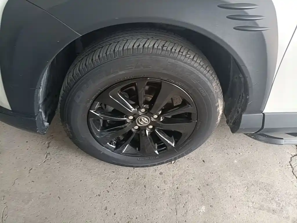 Toyota RAV4 Rongfang 2019 2.0L CVT 2WD Style X Limited Edition China VI фото 23