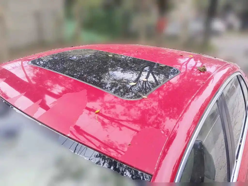 Фото 6 - Volkswagen Sagitar