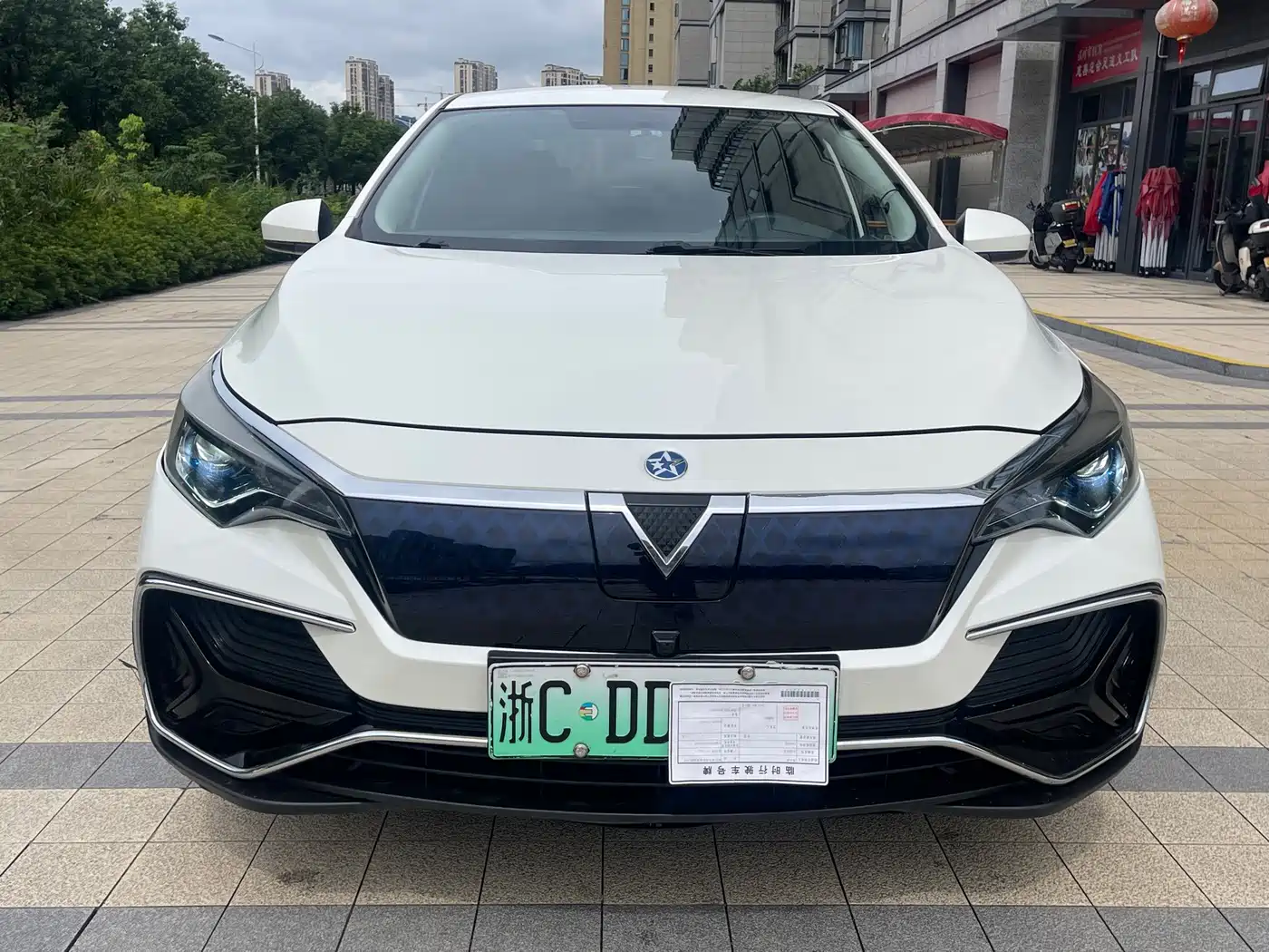 Venucia D60EV 2021 2020 Standard Range Smart Edition