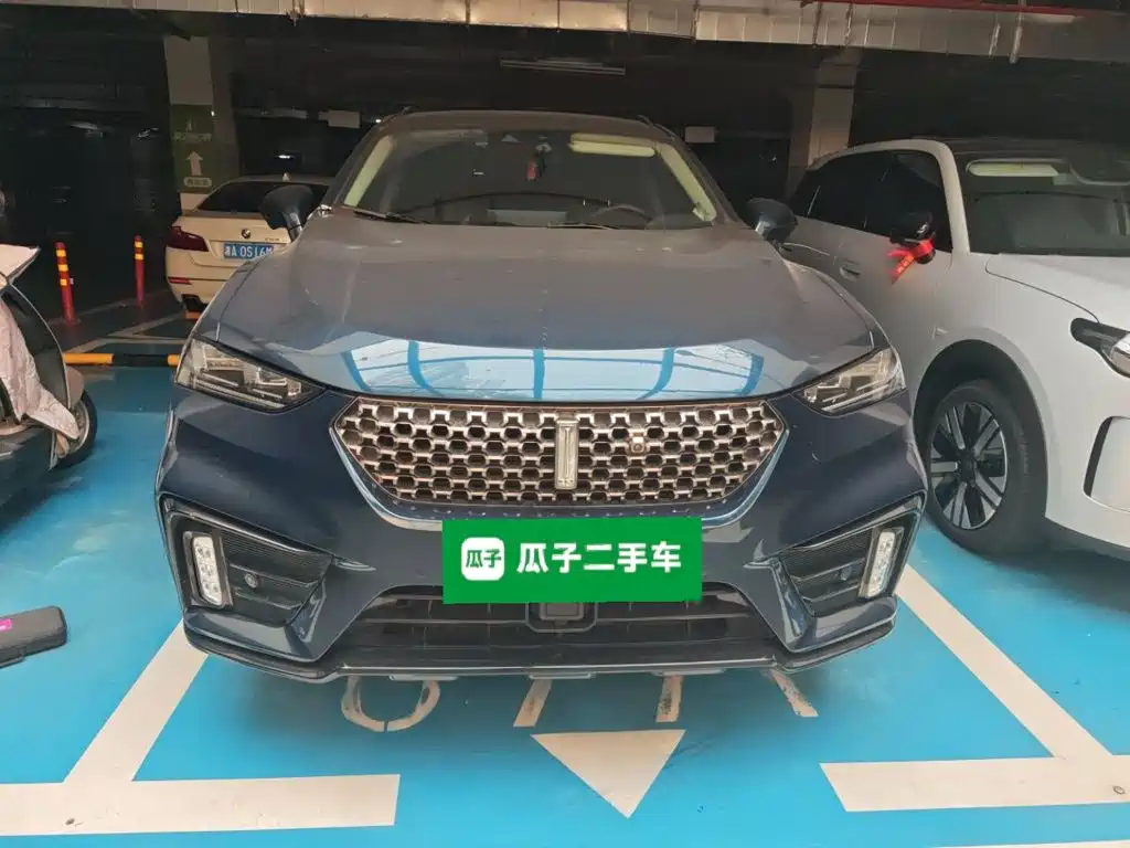 WEY VV7 2021 2021 Model 2.0T Technology Edition