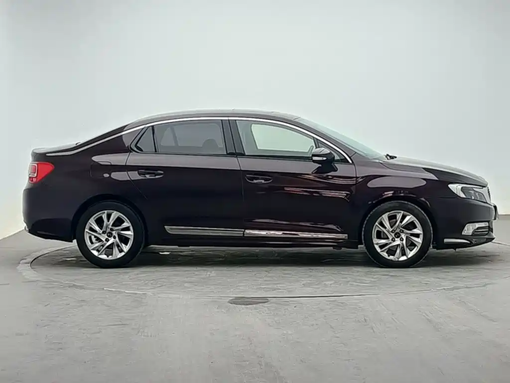 Фото 3 - DS 5LS
