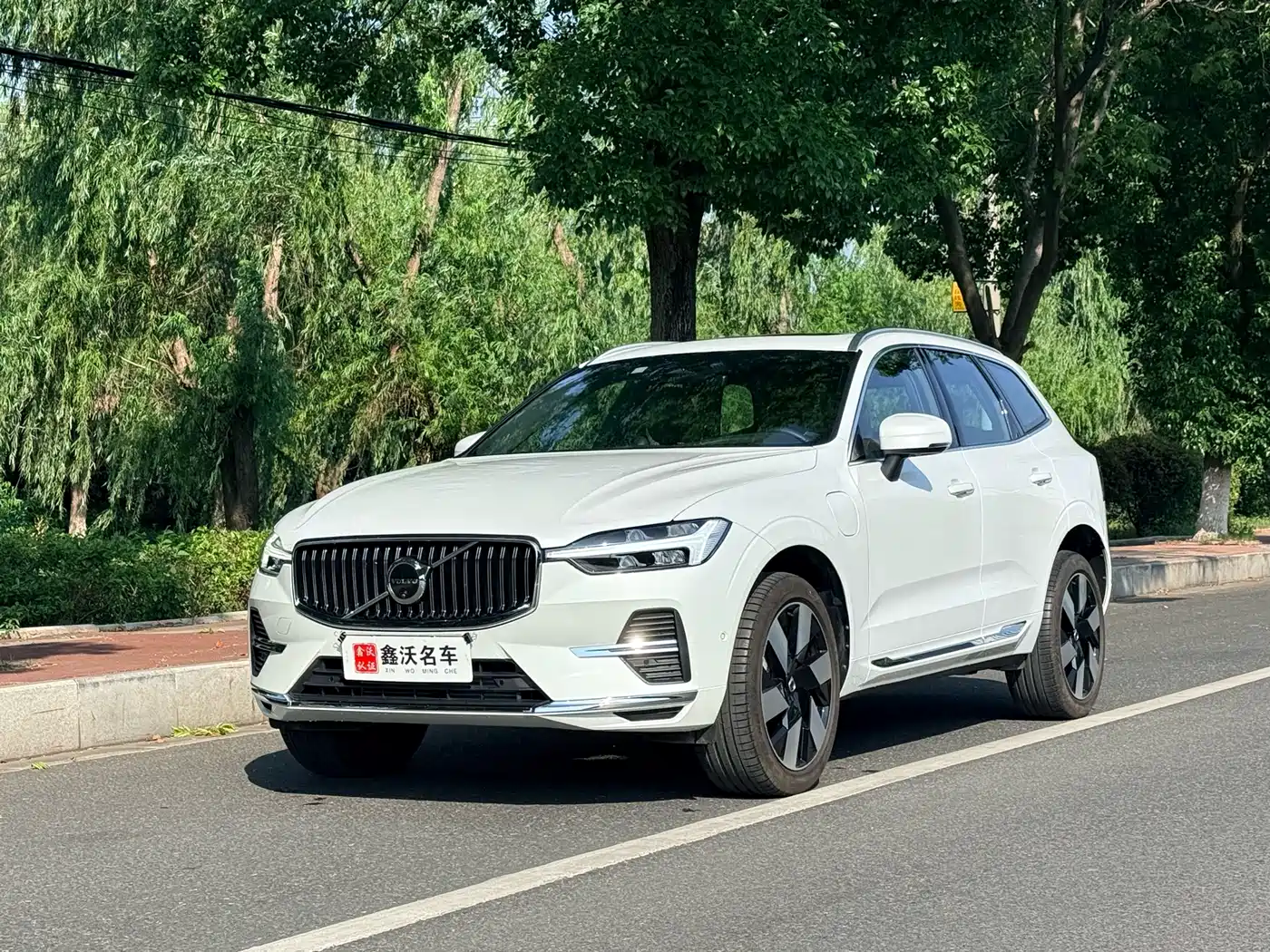 Volvo XC60 Plug-in Hybrid 2025 Plug-in Hybrid Long Range AWD Zhiya Luxury Edition