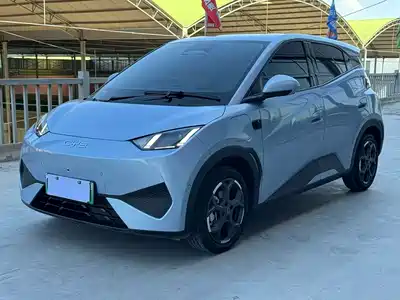 BYD Seagull