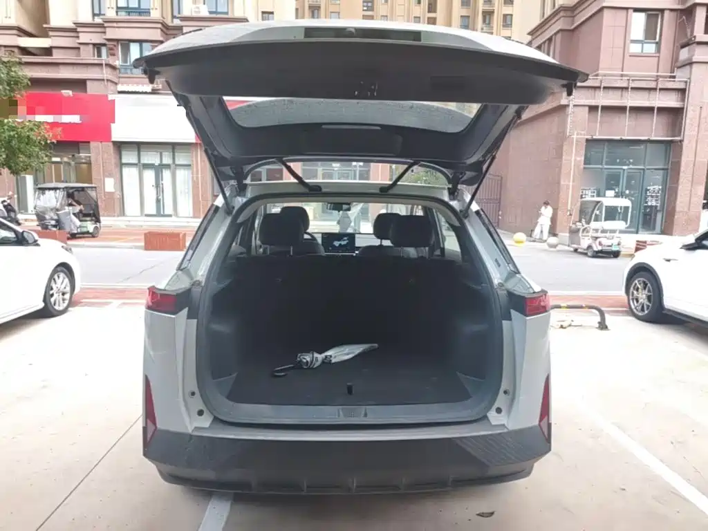 Venucia VX6 2025 2024 450 Travel Edition