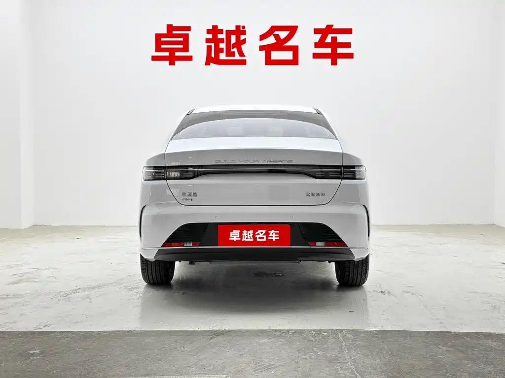 Фото 3 - BYD Destroyer 05