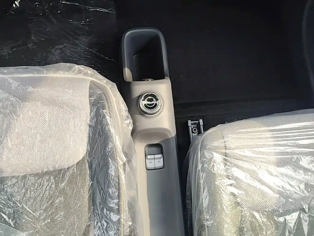 Wuling Motors Wuling Zhiguang NEV 2026 2025 Model 305km Base Version