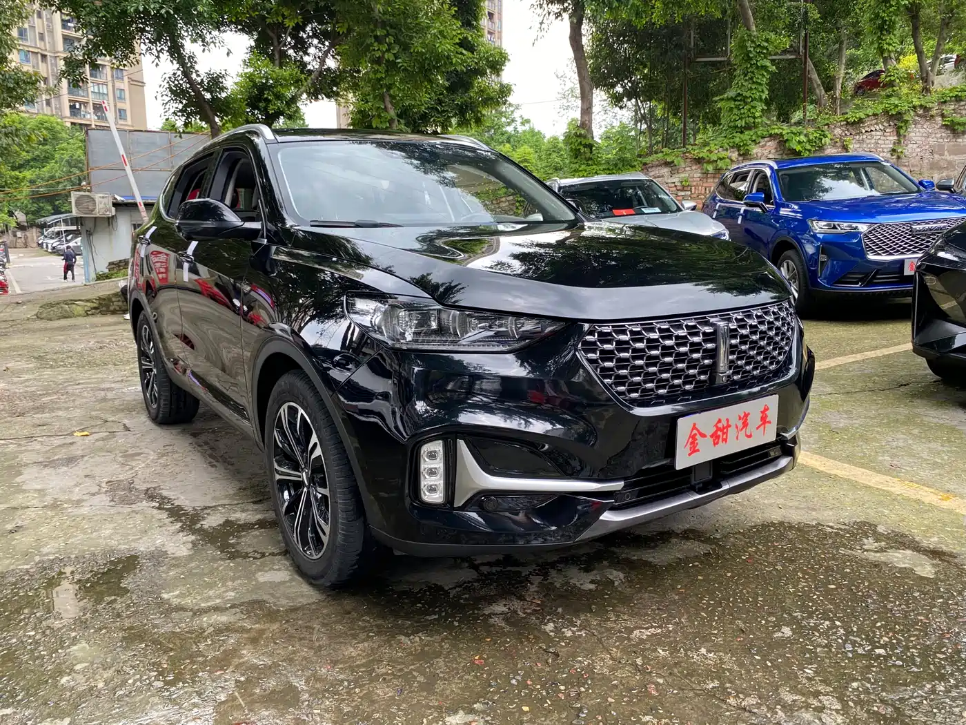 WEI PAI WEI BRAND VV6