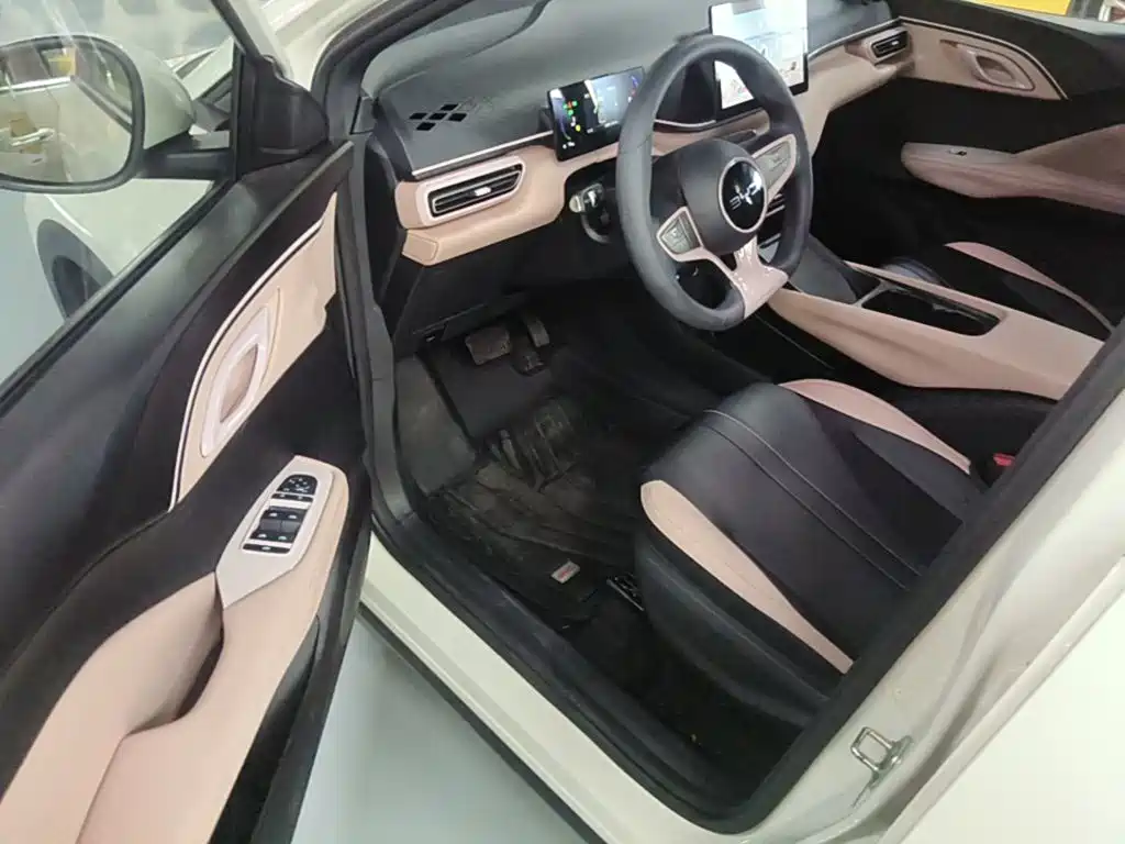 BYD Seagull 2026 2025 Smart Drive Edition 305km Vitality Version