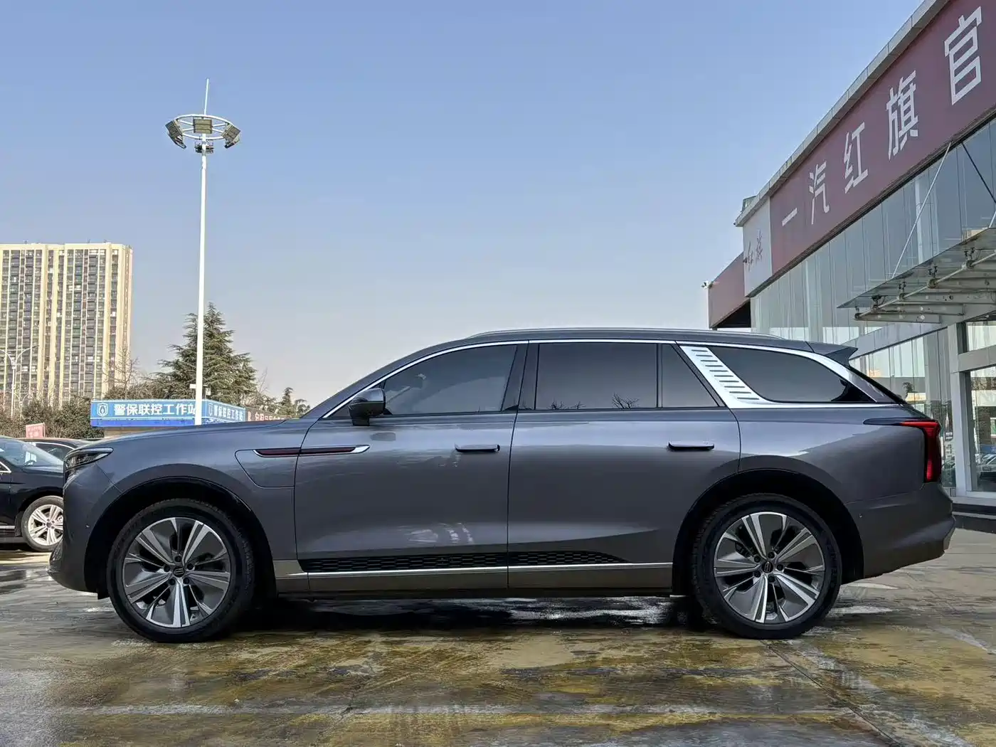 Hongqi E-HS9 2022 690km Qi Xiang Edition (6-seater) фото 7