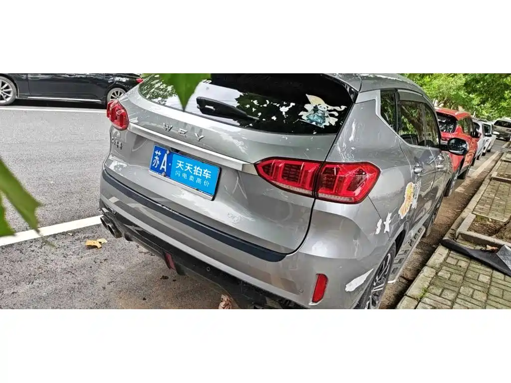 WEY VV6 2021 2021 2.0T 2WD Smart Enjoyment+