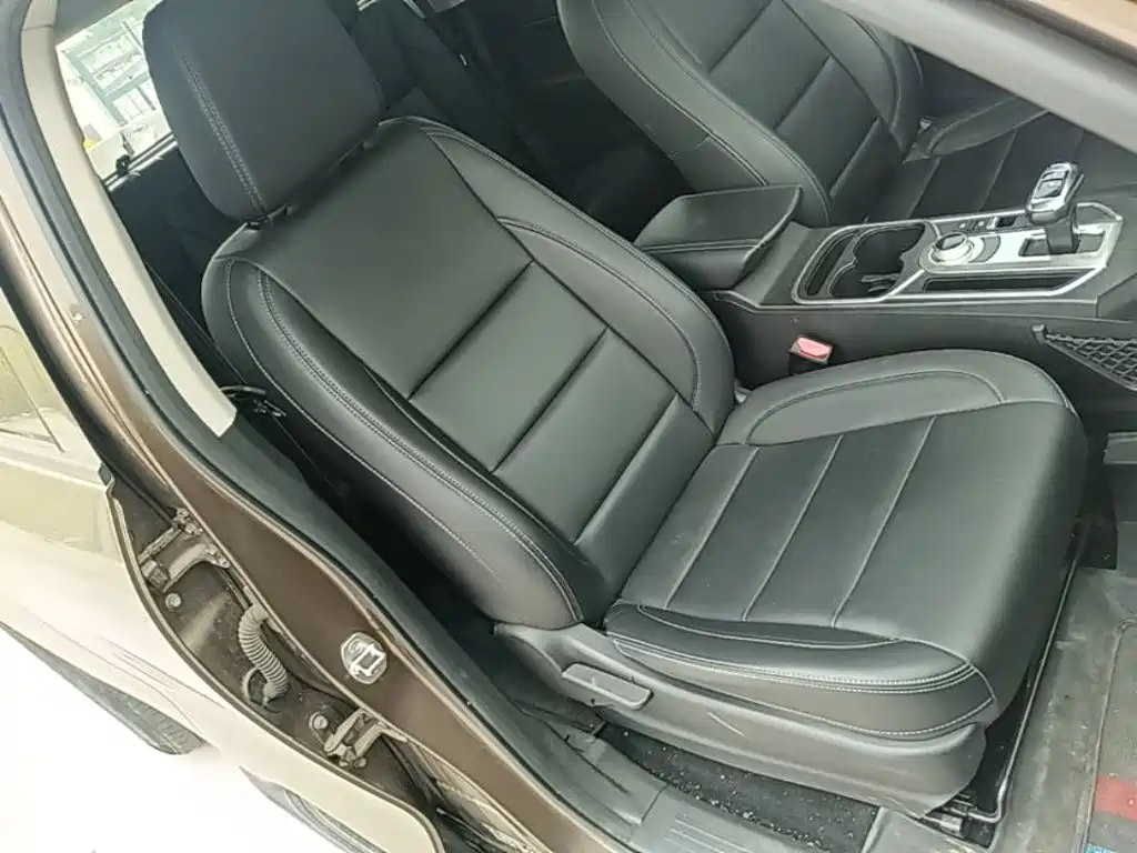 Great Wall Pao 2020 2019 2.0T Commercial Version Automatic Gasoline 2WD Elite Long Box GW4C20B