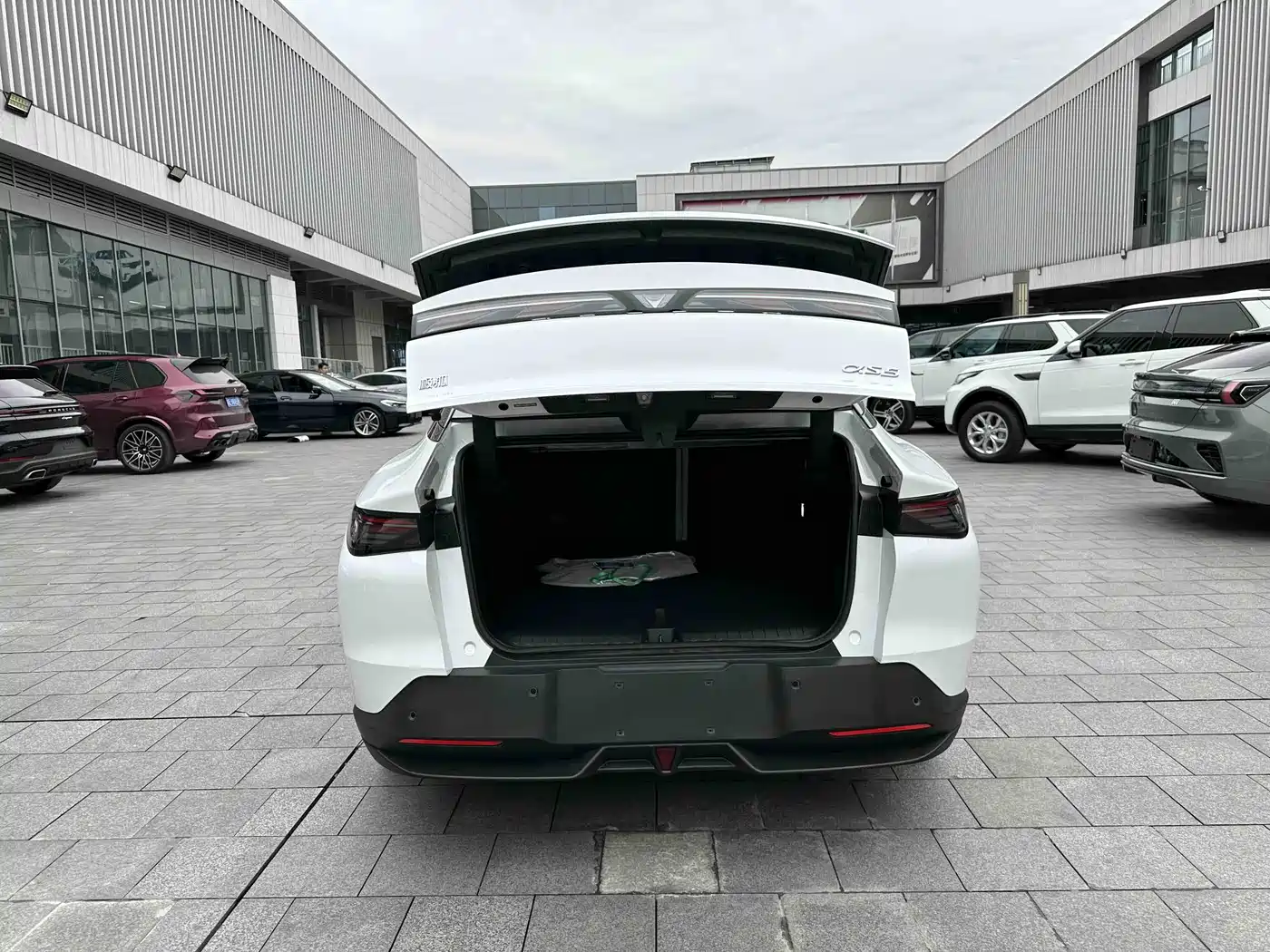 ARCFOX EXTREME FOX POLAR FOX ALPHA S5