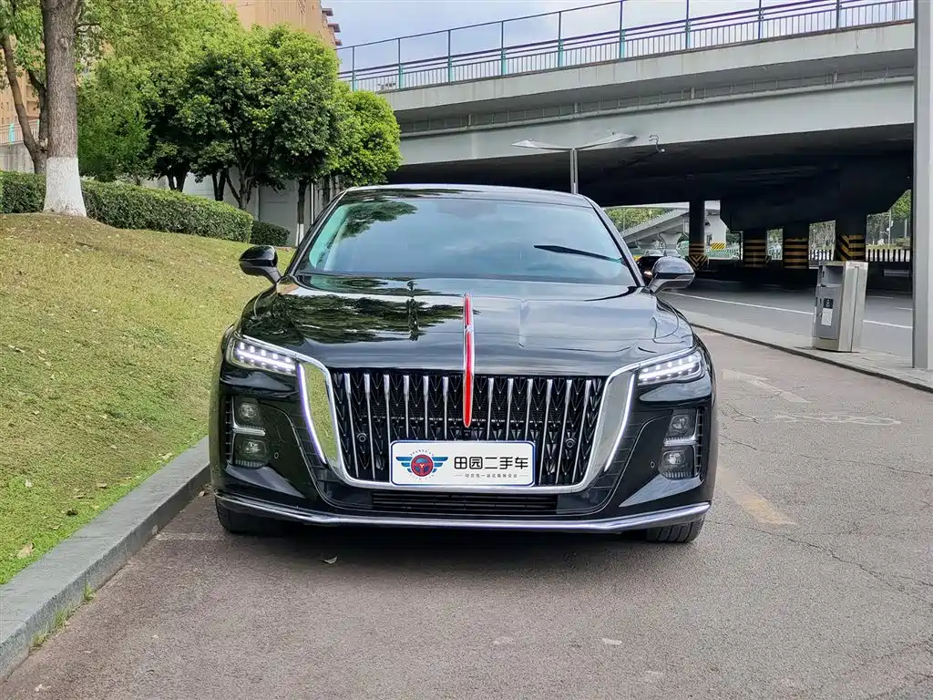 Hongqi H5 2025 1.5T DCT Flag Rhythm 500,000 Units Memorial Edition фото 2