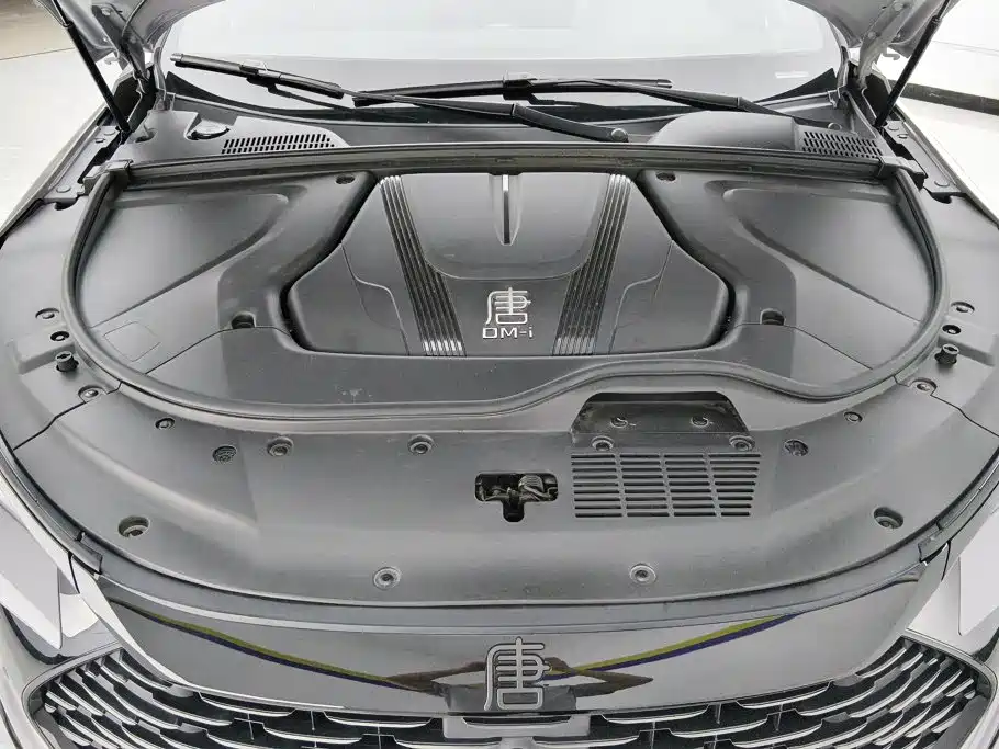 BYD Tang New Energy 2025 2025 DM-i 115KM Prestige Type