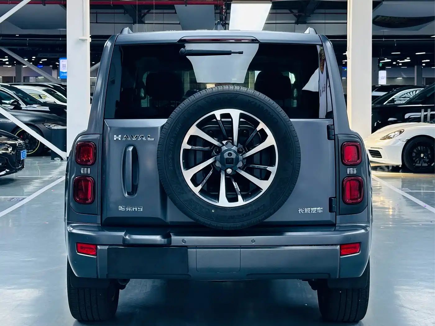 HAVAL H9