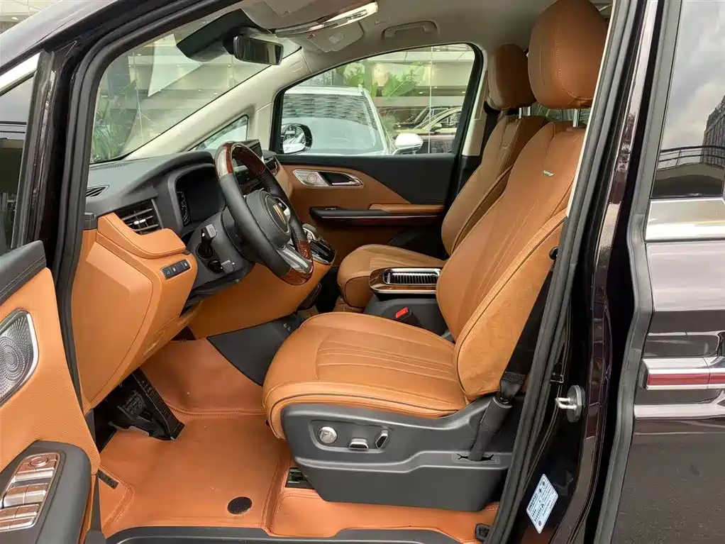 Hongqi HQ9 PHEV 2024 Model 2.0T AWD Luxury Edition фото 31