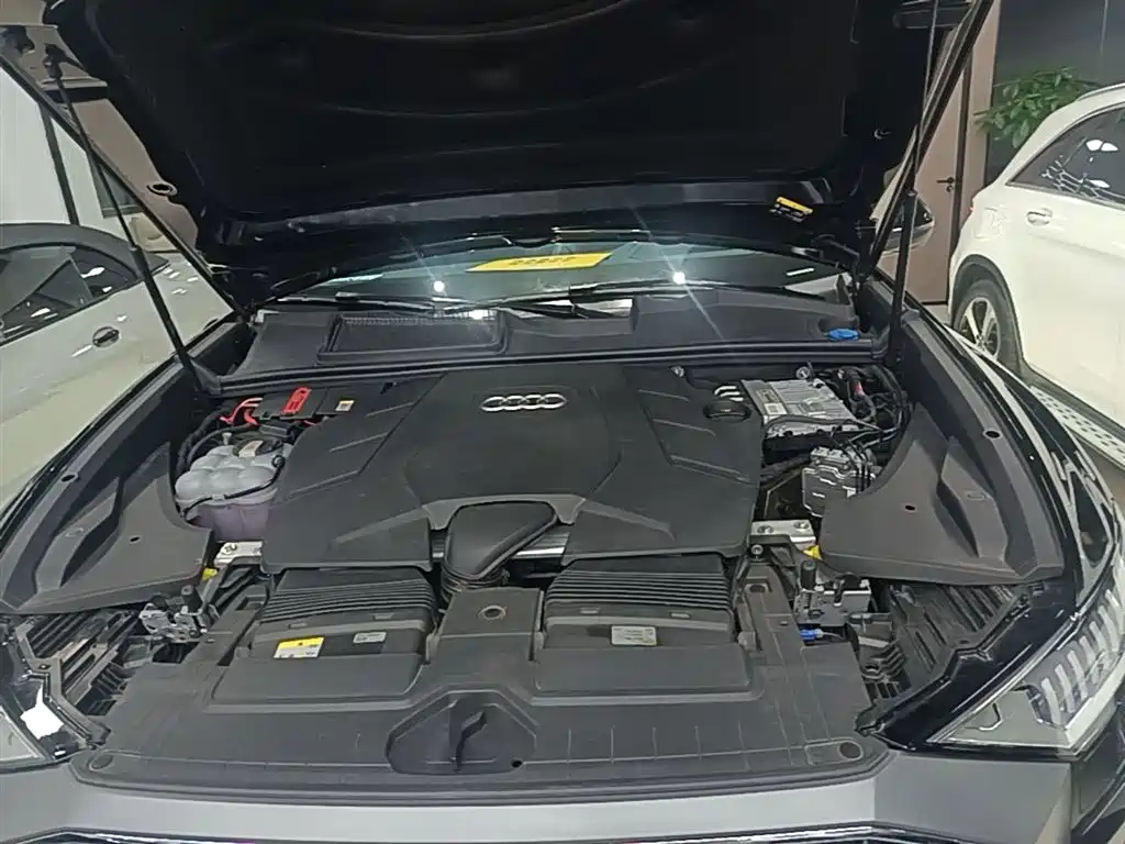 Audi Q8 2023 55 TFSI Luxury Sport фото 20