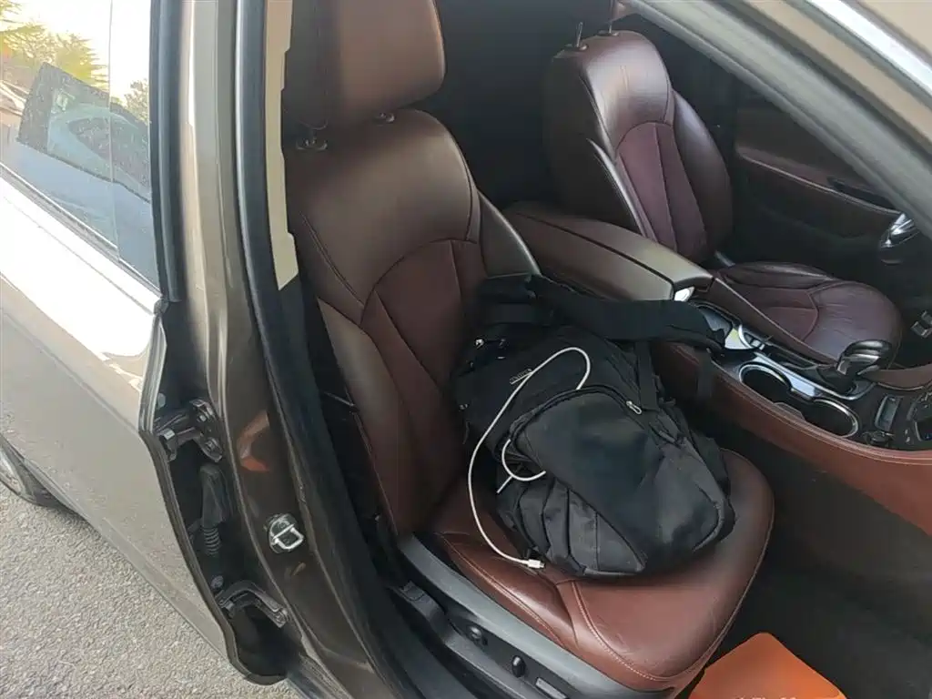 Buick Envision Plus 2017 20T 2WD Luxury фото 20