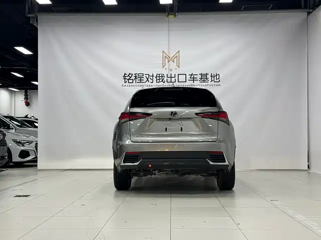 Lexus NX 2020 200 AWD F Sport China V — фото 5