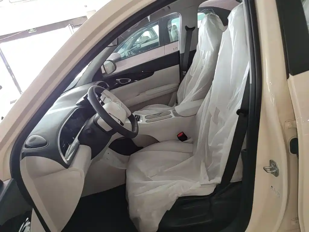 Geely Galaxy Starry Wish 2026 2026 Edition 310km Youth Version