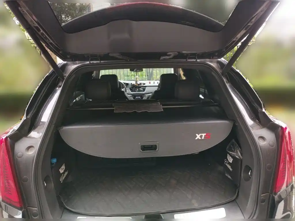 Cadillac XT5 2022 2022 2.0T 2WD Luxury