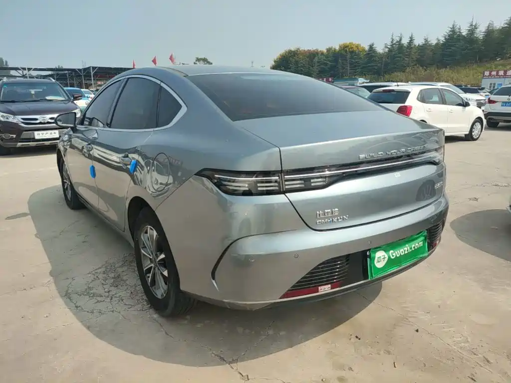 BYD Destroyer 05 2024 2024 Glory Edition DM-i 55KM Luxury