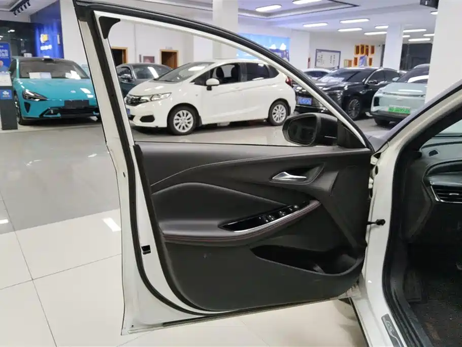 BUICK WEILANG