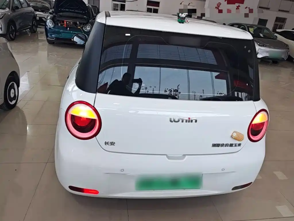 Changan Lumin 2025 2025 205km Fragrant Infusion Edition