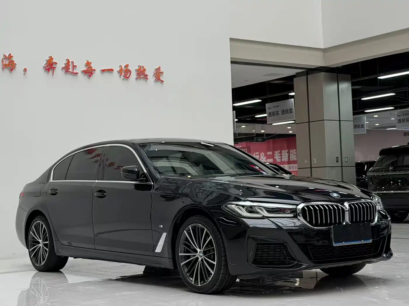 BMW 5 Series 2021 530Li Leading M Sport Package фото 3