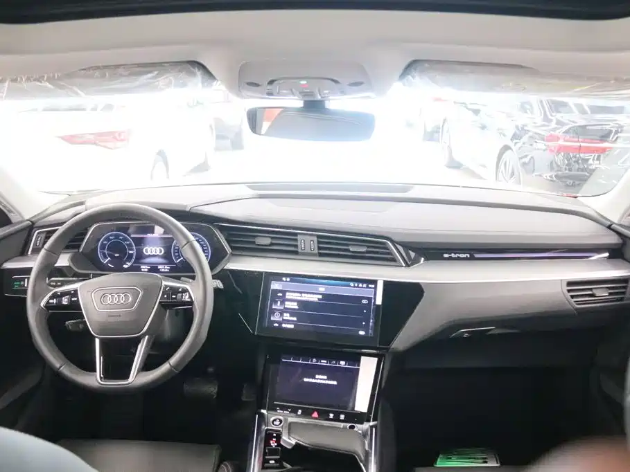Audi e-tron 2025 2021 50 quattro Luxury