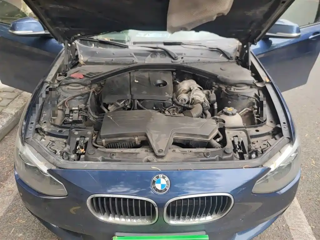 BMW 1 Series (Import) 2013 Facelift 116i Leading Model фото 11