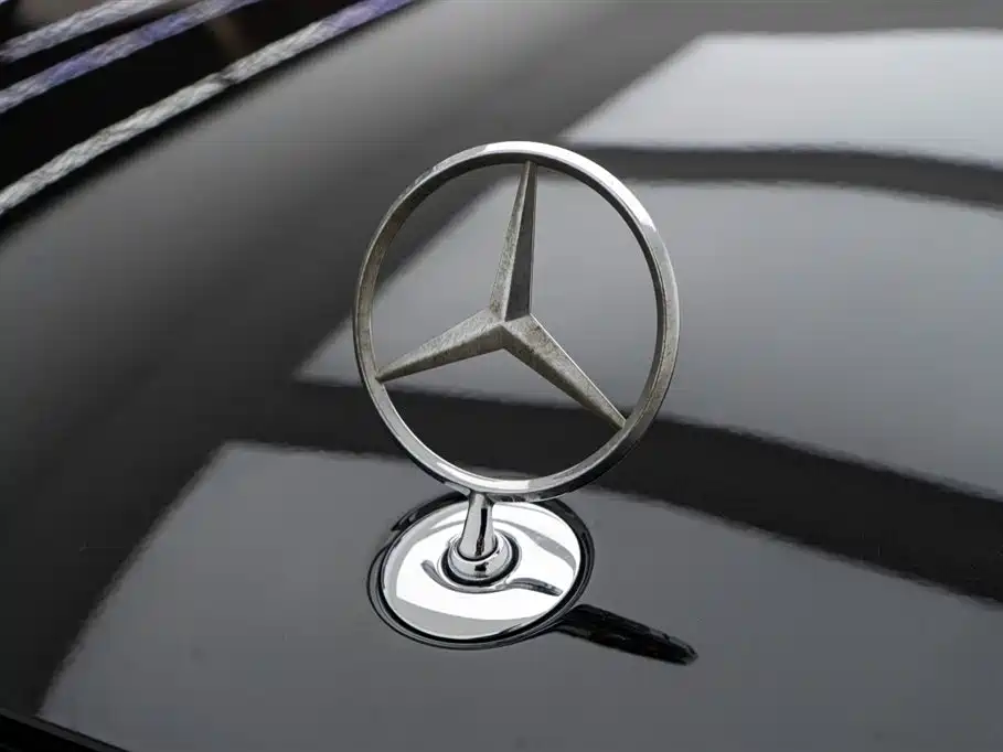 Mercedes-Benz S-Class 2024 S 400 L Business Edition фото 10