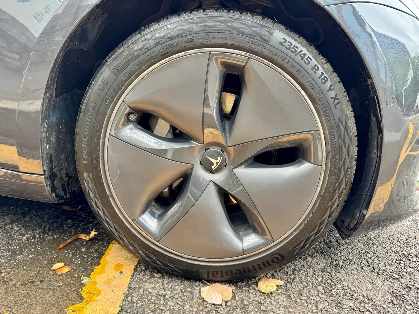 Фото 10 - Tesla Model 3