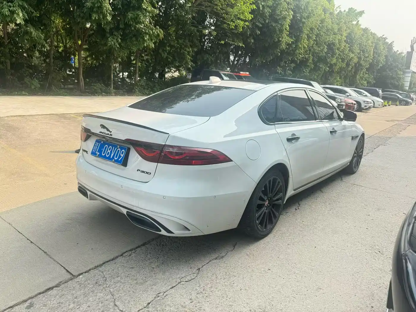 JAGUAR XFL