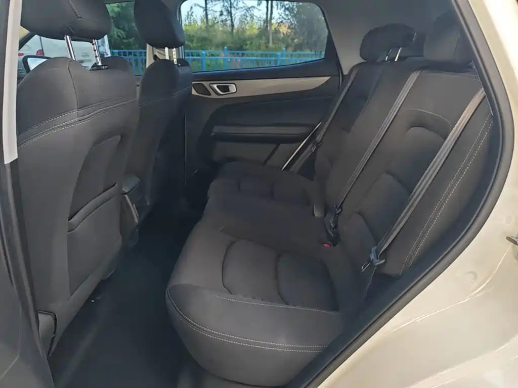 Cowin Xuanjie 2023 2023 1.5L CVT Premium Edition