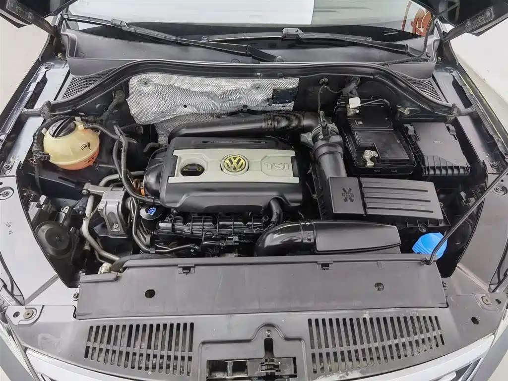 Volkswagen Tiguan 2009 Model 2.0TSI Luxury Edition фото 6