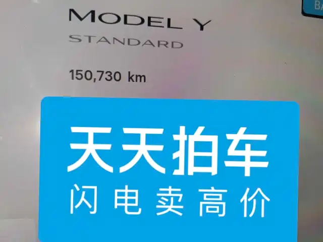 Tesla Model Y 2021 Standard Range Rear-Wheel Drive — фото 4
