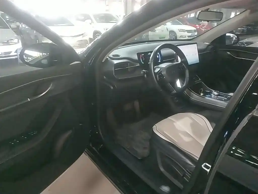 BYD Destroyer 05 2024 Glory Edition DM-i 55KM Luxury фото 16