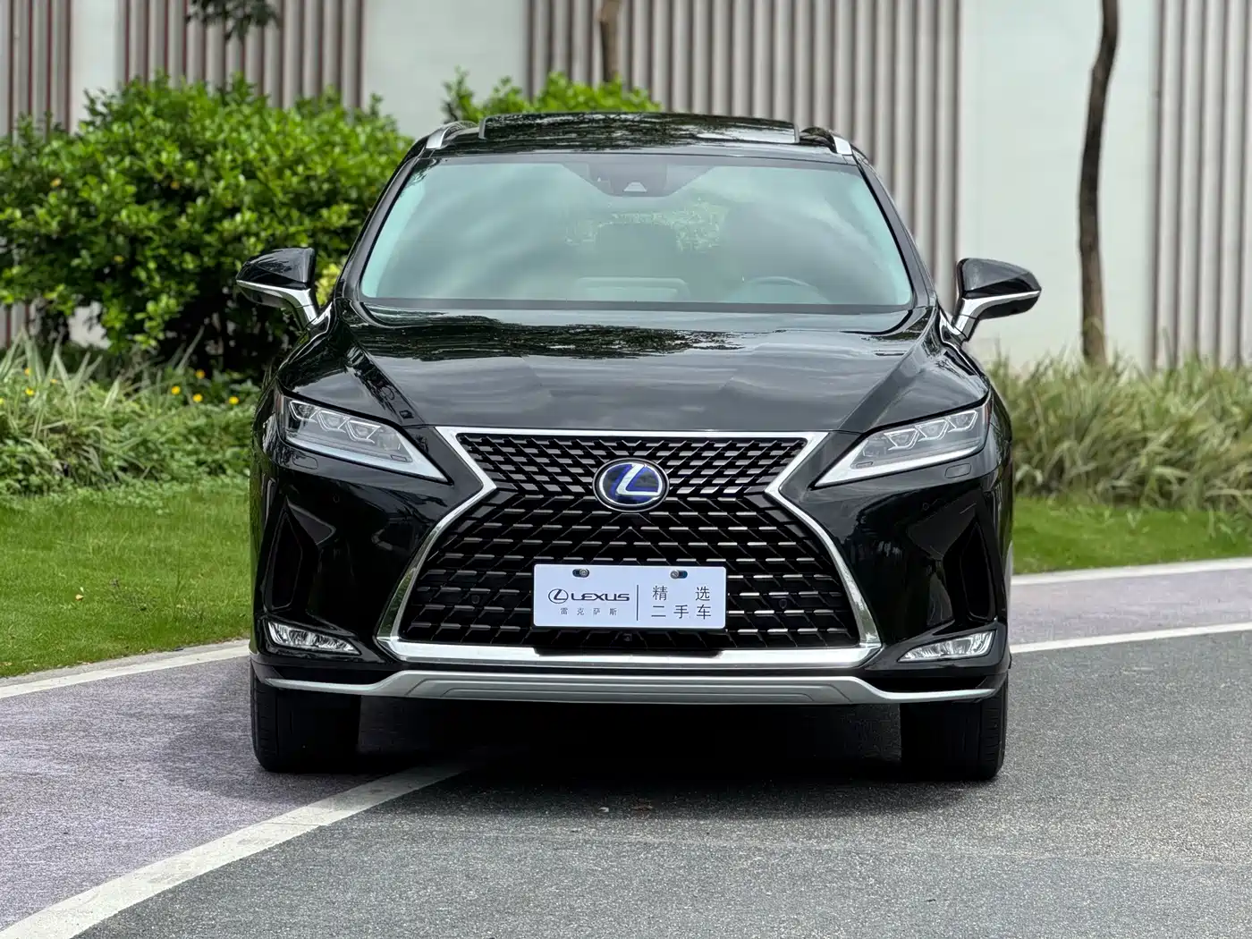 Photo 2 - Lexus RX