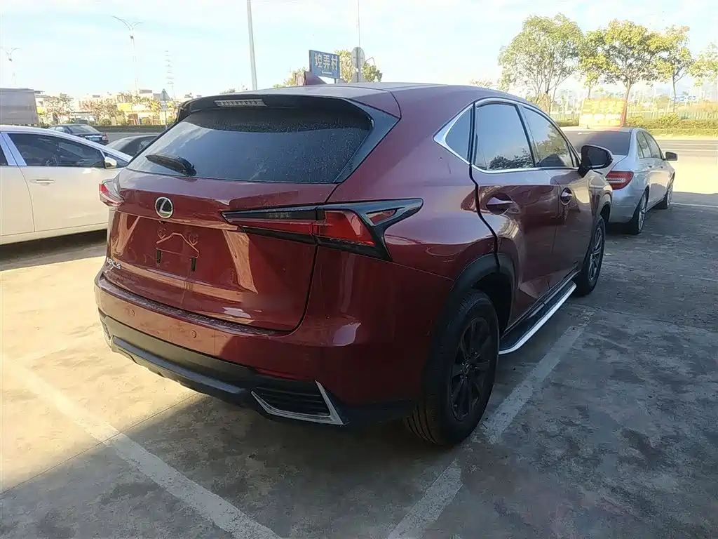 Lexus NX 2018 Model 200 FWD Fengxing Edition China V фото 23