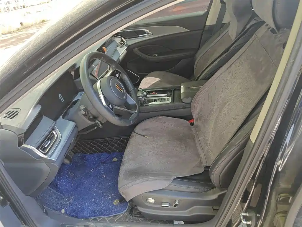 Hongqi H5 2023 2.0T Auto Smart Connect Flag Comfort фото 8