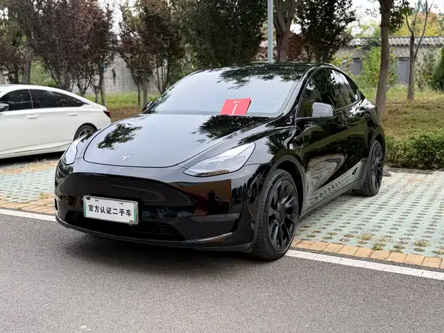 Tesla Model Y 2021 Standard Range Rear-Wheel Drive — фото 1