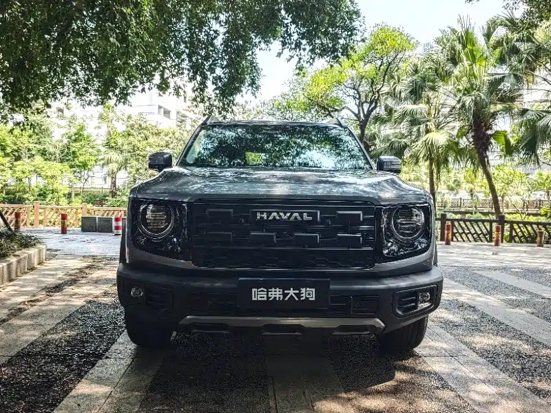 Haval Big Dog 2026 Model 1.5T High Configuration фото 7