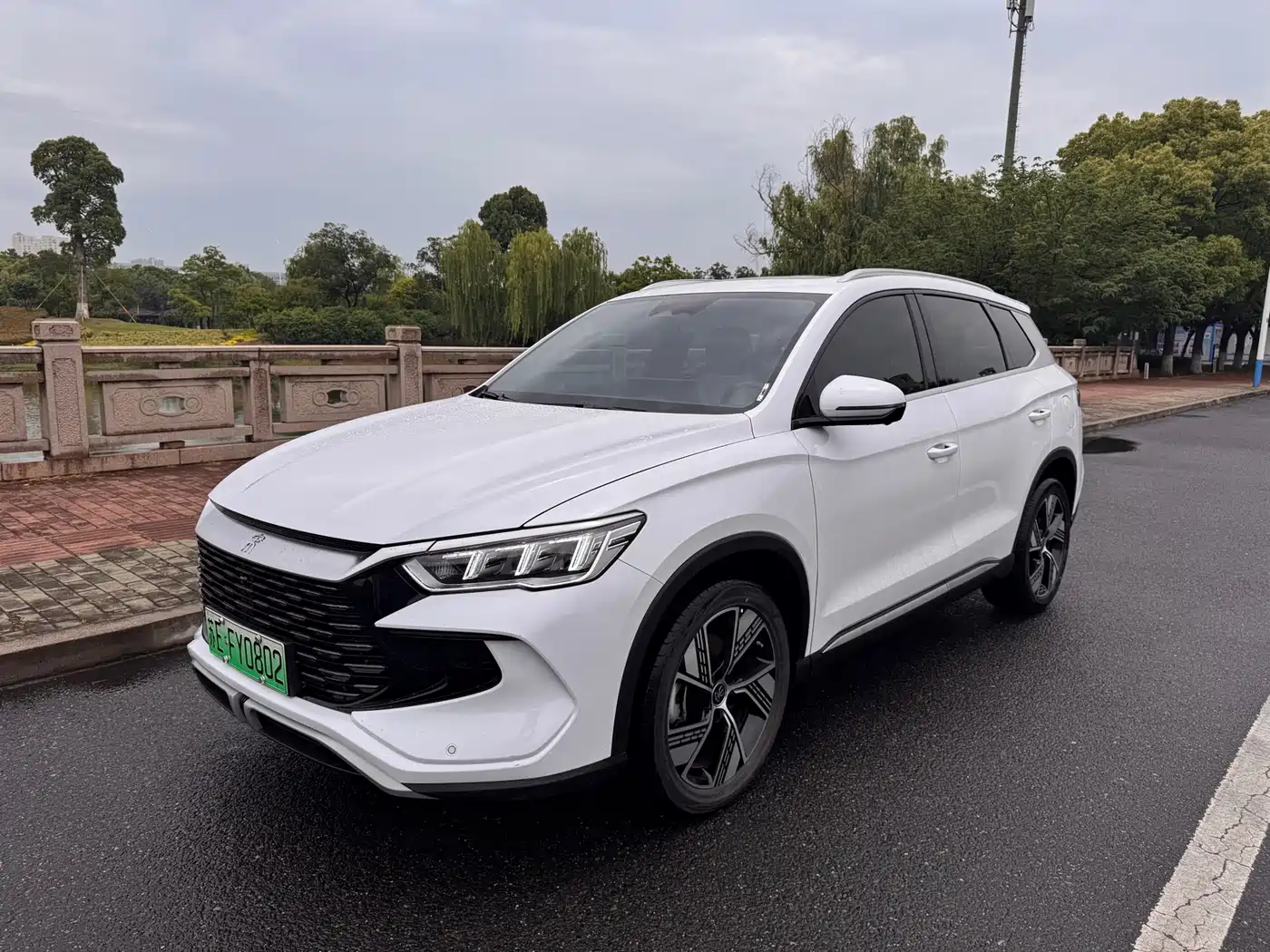 BYD Song Pro New Energy 2024 Glory Edition DM-i 110KM Surpassing фото 2