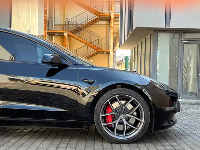 Tesla Model 3 2022 Performance High-Performance AWD — фото 5