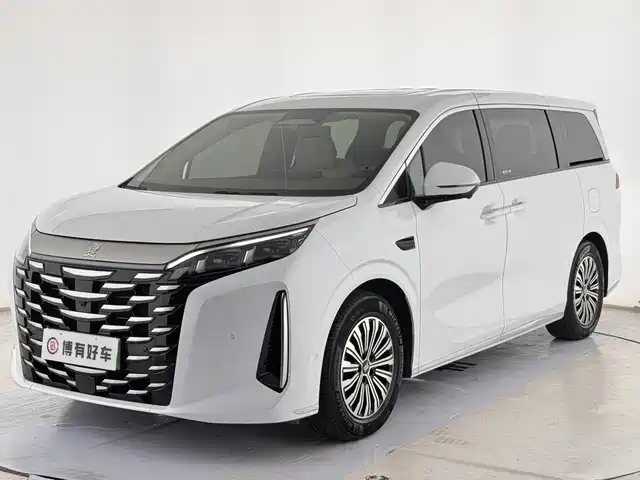  BYD Xia 2025 DM-i 1.5T 180km Excellence