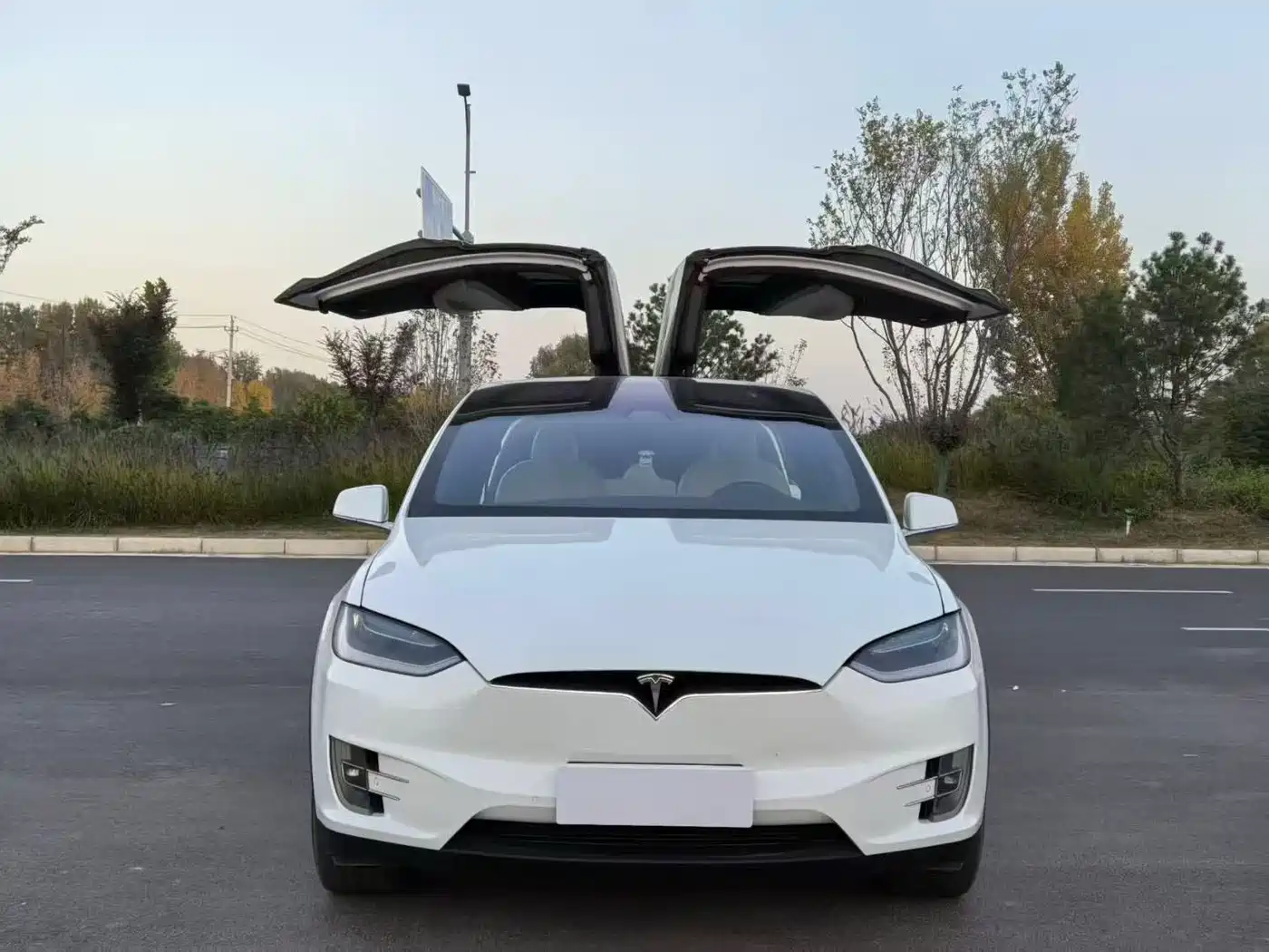 TESLA MODEL X